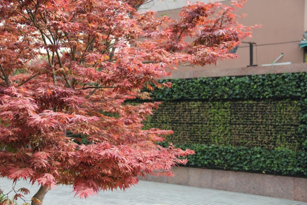L'Otel Shanghai Eksteriør bilde