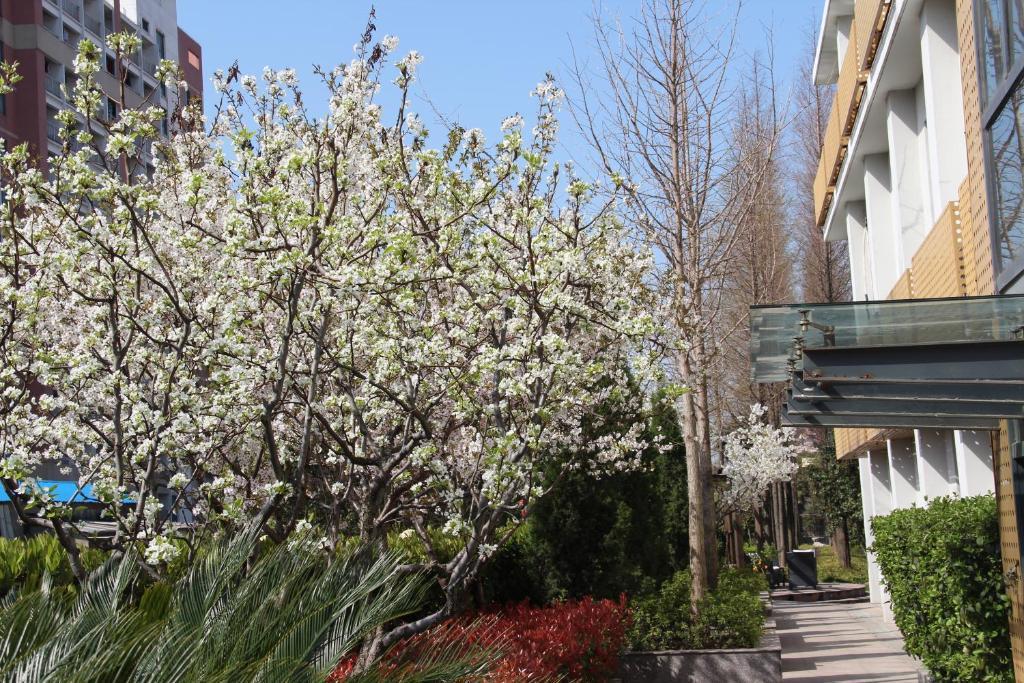 L'Otel Shanghai Eksteriør bilde